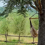 Privat bolig Podere Tra Gli Ulivi - Yoga, Natura E Silenzio