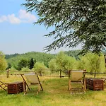 Podere Tra Gli Ulivi - Yoga, Natura E Silenzio *