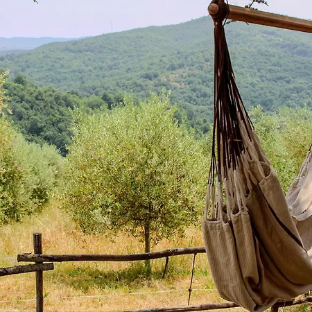 Podere Tra Gli Ulivi - Yoga, Natura E Silenzio