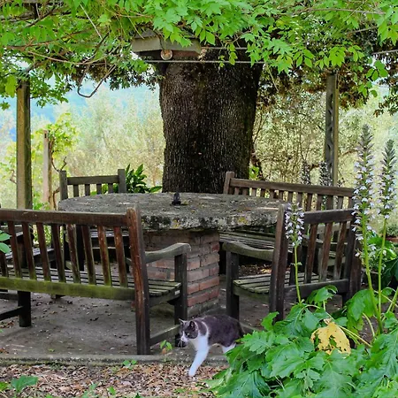 Podere Tra Gli Ulivi - Yoga, Natura E Silenzio Quarto em Acomodações Particulares *